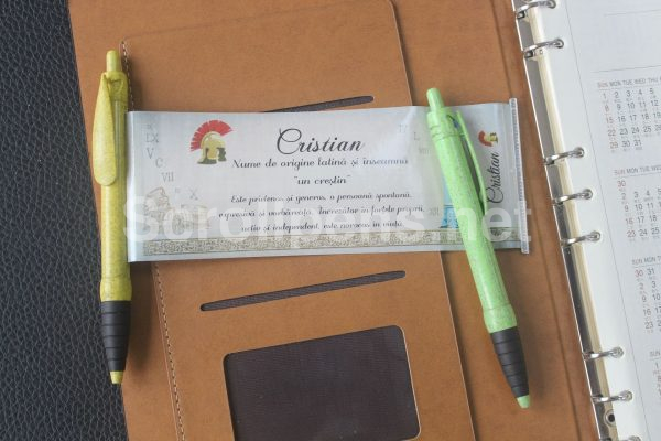 Eco-friendly Wheat Straw Banner Pens “DRIP STRAW” - Image 2